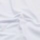ZERV-Hawk-Shorts-White-2