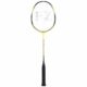 Forza-Precision-TI-X10-Badmintonketcher