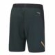 Li-Ning-AAPV041-1-International-Shorts-Black-2