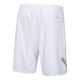 Li-Ning-AAPV041-2-International-Shorts-White-2