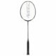 ZERV-Battleax-Court-NY-Badmintonketcher
