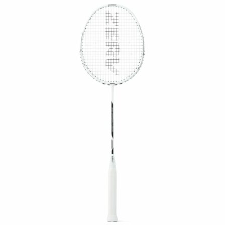ZERV-Dragonfly-Court-NY-Badmintonketcher