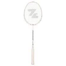 ZERV Dragonfly Court V2